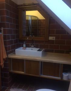 a bathroom with a sink and a mirror at Vilks un Briedis Holiday Home & Wellness Area in Smiltene