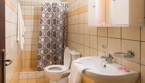 a bathroom with a sink and a toilet and a shower at VillaPouliezos Apartments in Alikanas