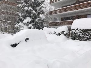 une pile de neige au sommet d'une maison dans l'établissement Grain d'Or - Studio 007, à Verbier