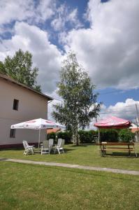 Príroda v okolí motela