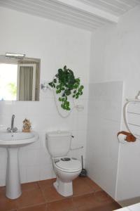 a white bathroom with a toilet and a sink at Hostellerie des ch&acirc;teaux in Saint-Fran&ccedil;ois