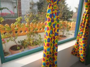 a window with a bunch of potted plants at Coral Country Homestay in Agra