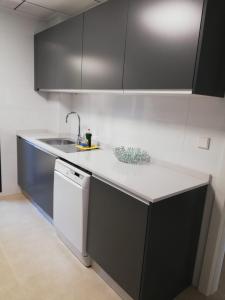 a kitchen with a sink and a dishwasher at Terrazas de las Marinas in Denia