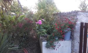 a garden with flowers and plants on a wall at Gîte Rouge Calme et Nature in Allas-Bocage