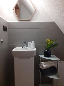 ein Bad mit einem Waschbecken und einem Spiegel in der Unterkunft Resort Biela Skala - CHATA in Bystrá
