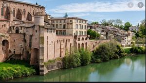 a view of a city with a river and buildings at LES RIVES MONTANS in Montans