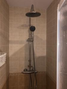 y baño con ducha con cabezal de ducha. en Apartamentos Turisticos Lavedan, en Tramacastilla de Tena