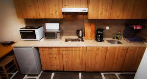 a kitchen with a counter with a microwave and a sink at Apollonia Hotel Apartments in Varkiza