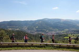 a group of people walking on a hill with mountains in the background at Hôtel Panorama in Munster