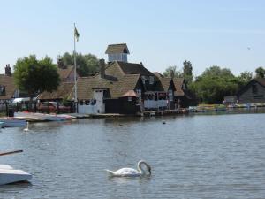a swan swimming in the water in front of houses at 5 Oakes Court in Thorpeness