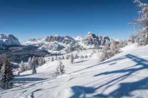 una montaña cubierta de nieve con árboles y montañas en Ciasa Rosra, en La Villa