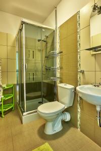 a bathroom with a toilet and a shower and a sink at Nędzówka in Ząb +51 photos