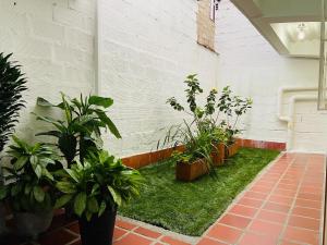 une cour avec des plantes en pots à côté d'un mur dans l'établissement VIVIENDA TURÍSTICA EL ZÓCALO, à Guatapé