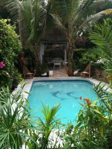 達喀爾的住宿－Fabuleux Studio Petit Marrakech，棕榈树花园内的大型游泳池