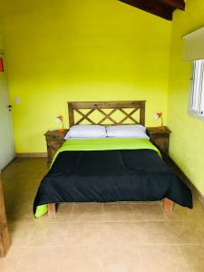 a bedroom with a bed with a green wall at Eirú Hostel in Santa Rosa de Calamuchita