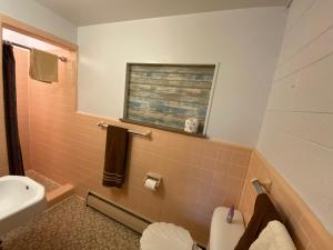 Kúpeľňa v ubytovaní Big Bear Lodge