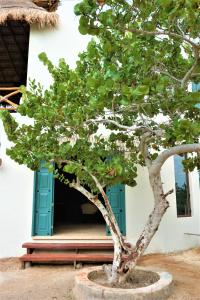 Zahrada ubytování Hotel Boutique La Puerta Azul Beachfront - Adults Only