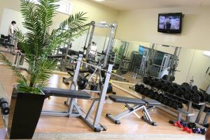 a gym with cardio equipment and a potted plant at Quinta Do Passal in Paços de Ferreira