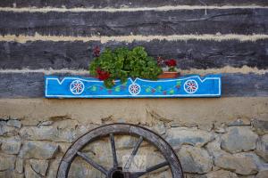 Fotografie z fotogalerie ubytování Casa Glod v destinaci Glod