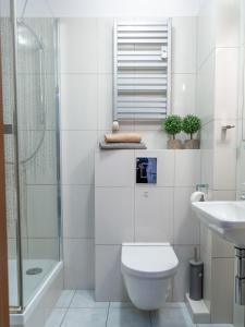 a bathroom with a toilet and a sink and a shower at Nozownicza Street Apartment in Wrocław