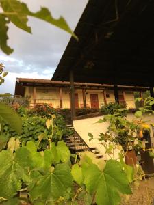 Ein Gebäude mit einem Haufen Pflanzen davor. in der Unterkunft Boscotenso in Premosello Chiovenda