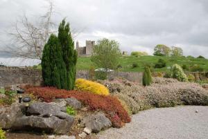 Zahrada ubytování O'Briens Cashel Lodge + 16 fotografií