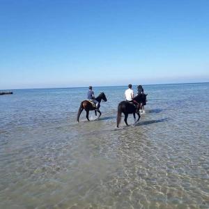 a group of people riding horses in the water at Kite House Marsala Stagnone in Marsala