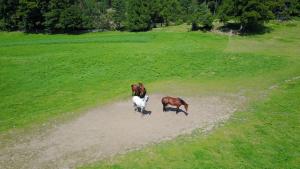 Photo de la galerie de l'établissement Gasthof Schneiderwiesen, à Laives