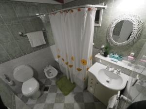 a bathroom with a toilet sink and a shower curtain at Santa Lucia in Ushuaia