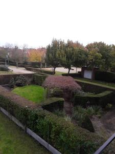 a garden with a table and some bushes at De Distel in Ostend
