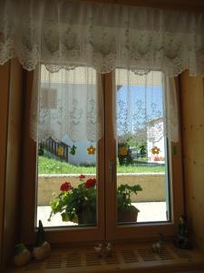 a window with a view of a yard at Agritur Belsogno B&B in Brez