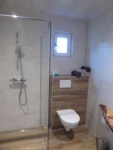 een badkamer met een toilet en een glazen douche bij Beemster Oase in De Beemster