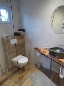 a bathroom with a toilet and a sink and a mirror at Beemster Oase in De Beemster