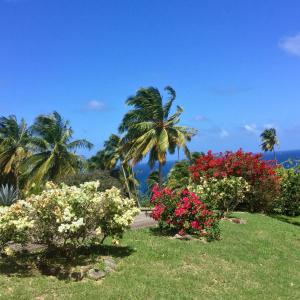 a garden with palm trees and flowers on a lawn at Garden Bungalow in Sauteurs