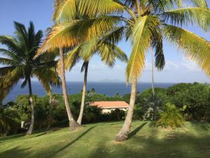 a group of palm trees with the ocean in the background at Garden Bungalow in Sauteurs