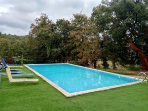 - une piscine dans une cour avec des chaises et un arbre dans l'établissement Quinta da Gandra, à Paredes de Coura