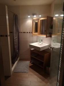 a bathroom with a sink and a shower at Gästezimmer Ahornweg in Villingendorf