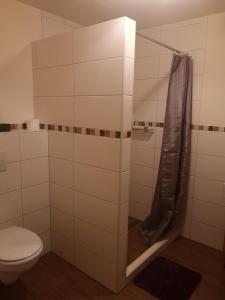 a bathroom with a toilet and a shower at Gästezimmer Ahornweg in Villingendorf