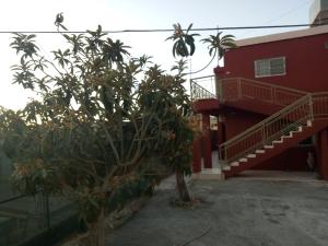 ein rotes Gebäude mit einer Treppe und Bäumen davor in der Unterkunft Happy Night Hostel in Wadi Musa
