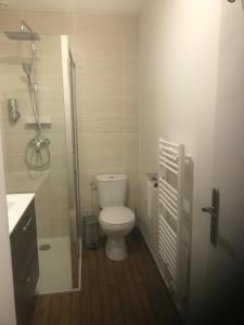 a small bathroom with a toilet and a shower at charmant studio Pont-Audemer in Pont-Audemer