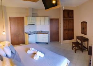 Kuchyň nebo kuchyňský kout v ubytování Anemos Hotel