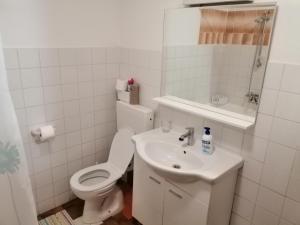 biała łazienka z toaletą i umywalką w obiekcie Apartment Pula w Puli