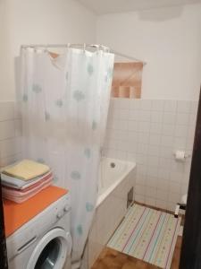 łazienka z pralką i zasłoną prysznicową w obiekcie Apartment Pula w Puli