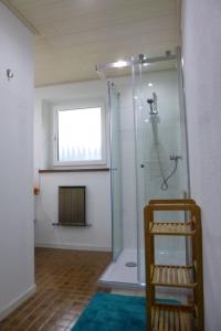 StummerbergにあるFerienwohnung Zillertal - Haus Dichtlのバスルーム(ガラスドア付きのシャワー付)
