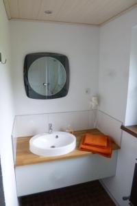 StummerbergにあるFerienwohnung Zillertal - Haus Dichtlのバスルーム(洗面台、壁掛け鏡付)