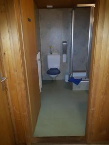 a bathroom with a toilet with a blue seat at Hotel-Restaurant-Linde in Gundlischwand