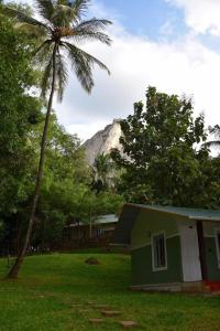 a green house with a palm tree and a mountain at Diga vista resorts in Palakkad