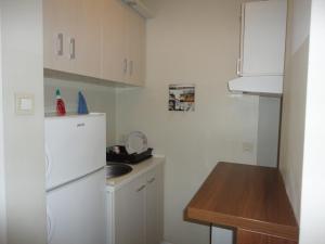 eine kleine Küche mit einem weißen Kühlschrank und einer Spüle in der Unterkunft Autokomanda in Belgrad