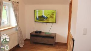 Telewizja i/lub zestaw kina domowego w obiekcie Kinderparadies Bachbauer