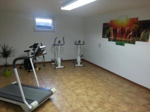 Fitness centrum a/nebo fitness zařízení v ubytování 4 Jahreszeiten